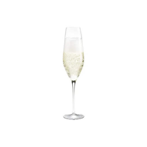 Holmegaard Cabernet champagneglas