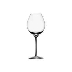 Orrefors Difference Fruit vinglas