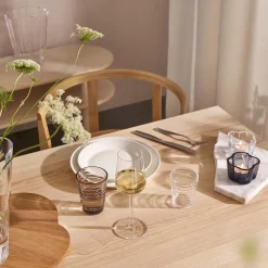 Iittala Essence hvidvinsglas 2 stk.