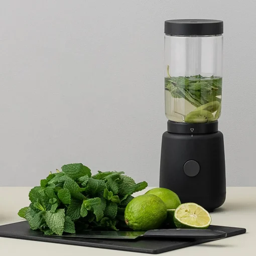RIG-TIG FOODIE smoothieblender,