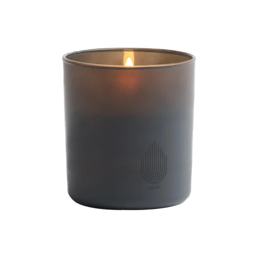 Uyuni Lighting LED rechargeable glass candle,