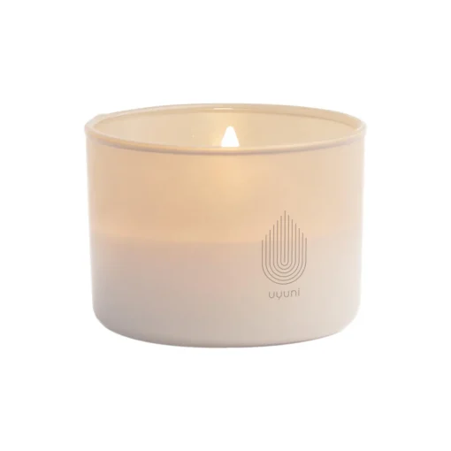 Uyuni Lighting LED rechargeable glass candle,