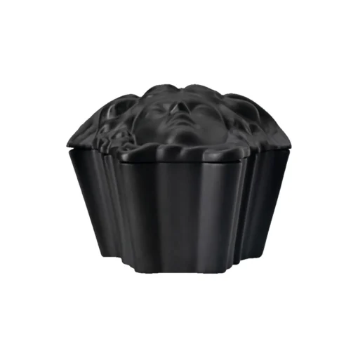 Rosenthal x Versace Medusa Box
