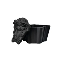 Rosenthal x Versace Medusa Box