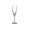 Orrefors More champagneglas 4 stk.