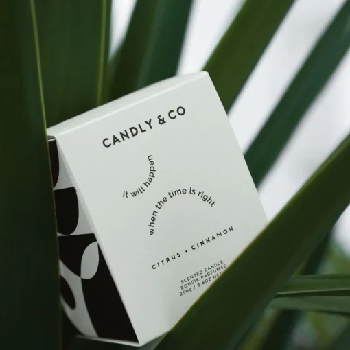Candly & Co No. 3 Candle, It will happen when the time is right