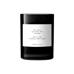 Candly & Co No. 8 Candle, You and I are more than friends. We're like a really small gang