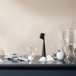 Eva Solo Opvaskebørste, black