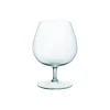 Villeroy & Boch Purismo Specials cognacglas