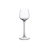 Villeroy & Boch Purismo Specials snapseglas