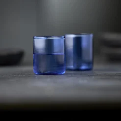 Lyngby Glas Torino shotglas 2 stk.,