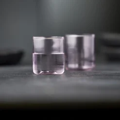 Lyngby Glas Torino shotglas 2 stk.,
