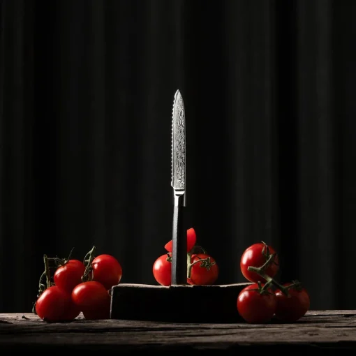 Gastrotools Utilitykniv med savtakker