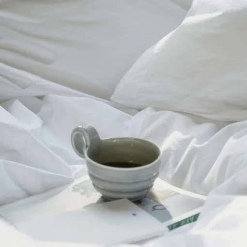 Nordic Sleep by Fossflakes Winter dyne